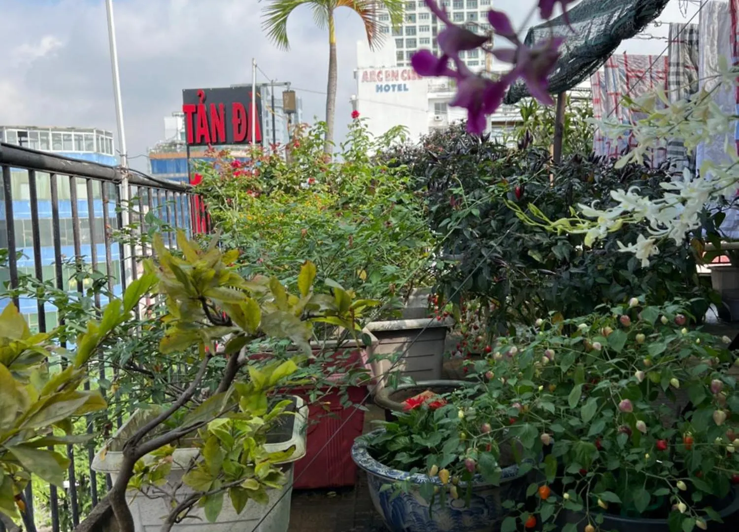 Tan Da Hotel Ho Chi Minh City